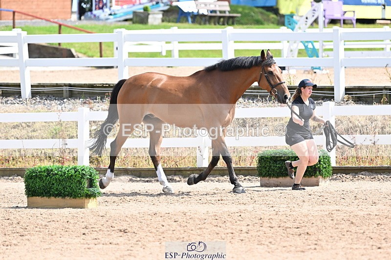 240717A-152300-02796 - Trot Up 3pm to 4pm