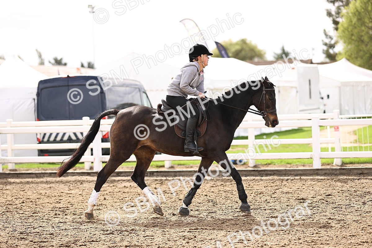 SBM_01725 - Class 55 - Clear Round