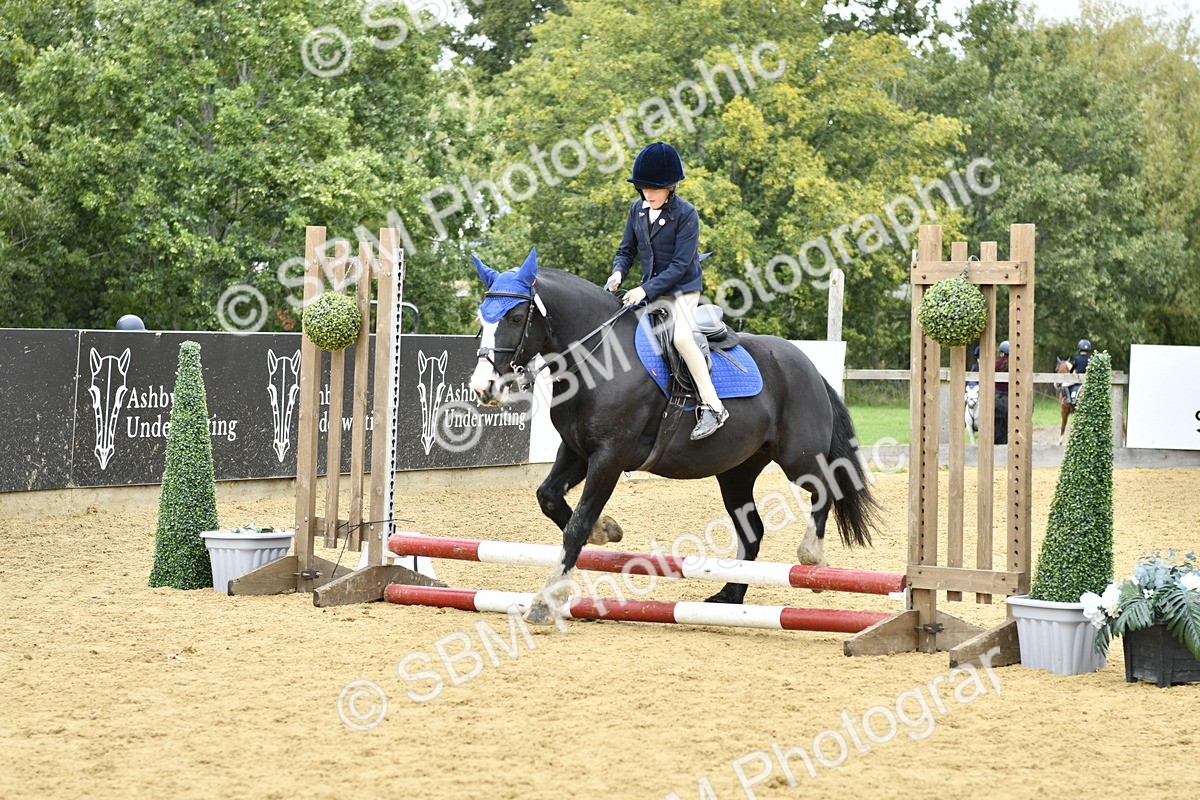 SBM_65437 - J2a mini Tour Junior Pony 30cm Championship