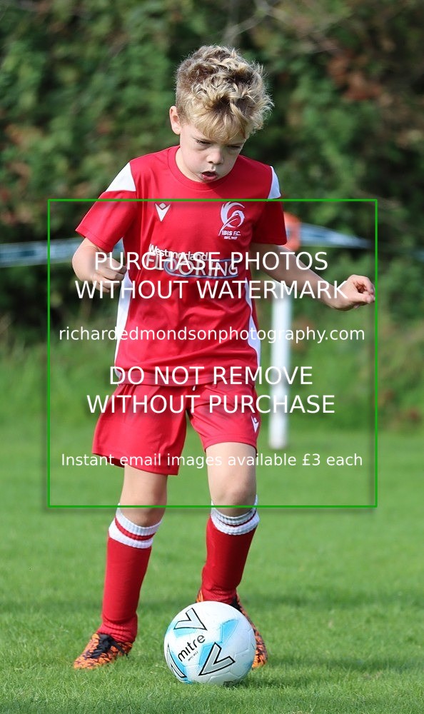IMG_4908 - Ibis U9 v Ibis United U9 (Saturday 24 September)