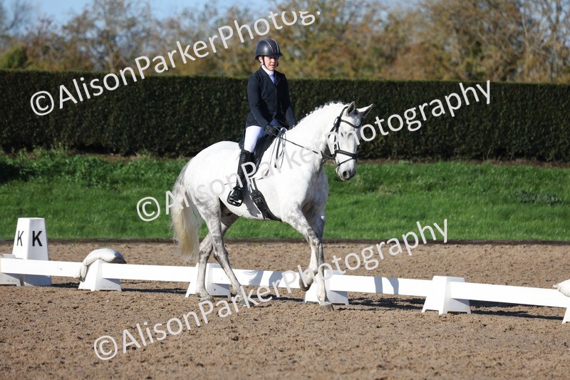 20251102-0442 - Class 3 - Novice 5