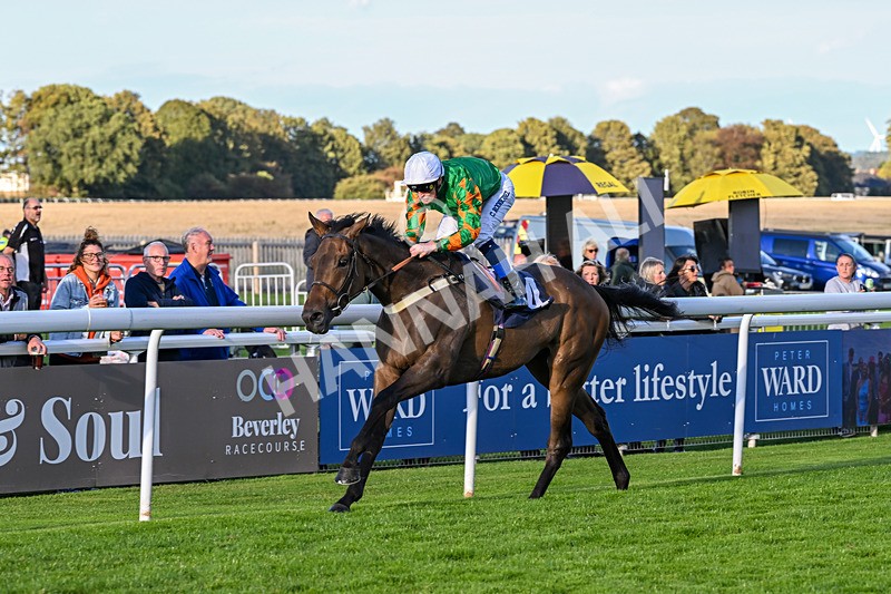 170925-Race 7-Sonic Pioneer-6211 - Race 7