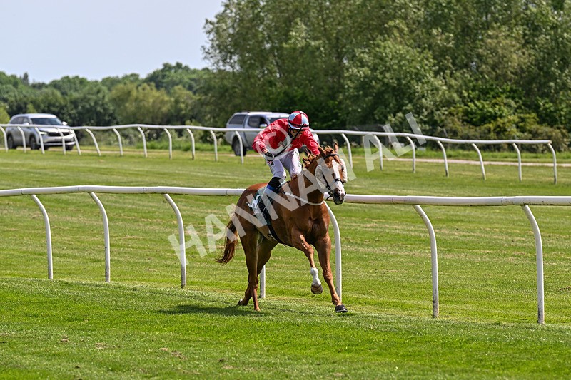 300526-Race 2-Im Dan Dare-0316 - Race 2 14.27pm Every Race Live On Racing TV Handicap