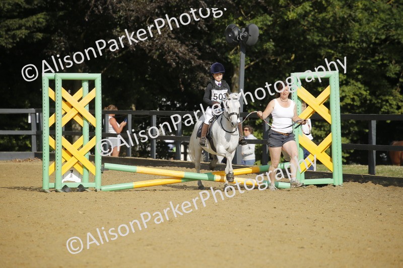 20250622-1167 - 40cm