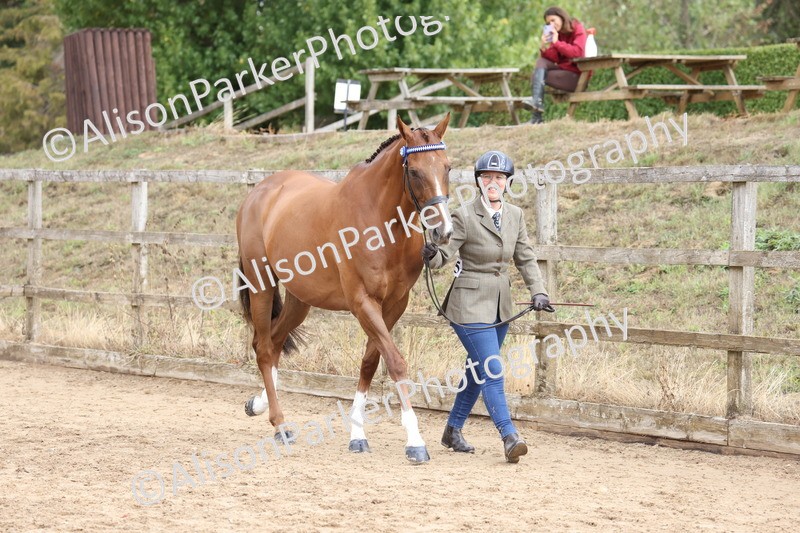 20260831-1882 - Class 5 - Retraining of Racehorses