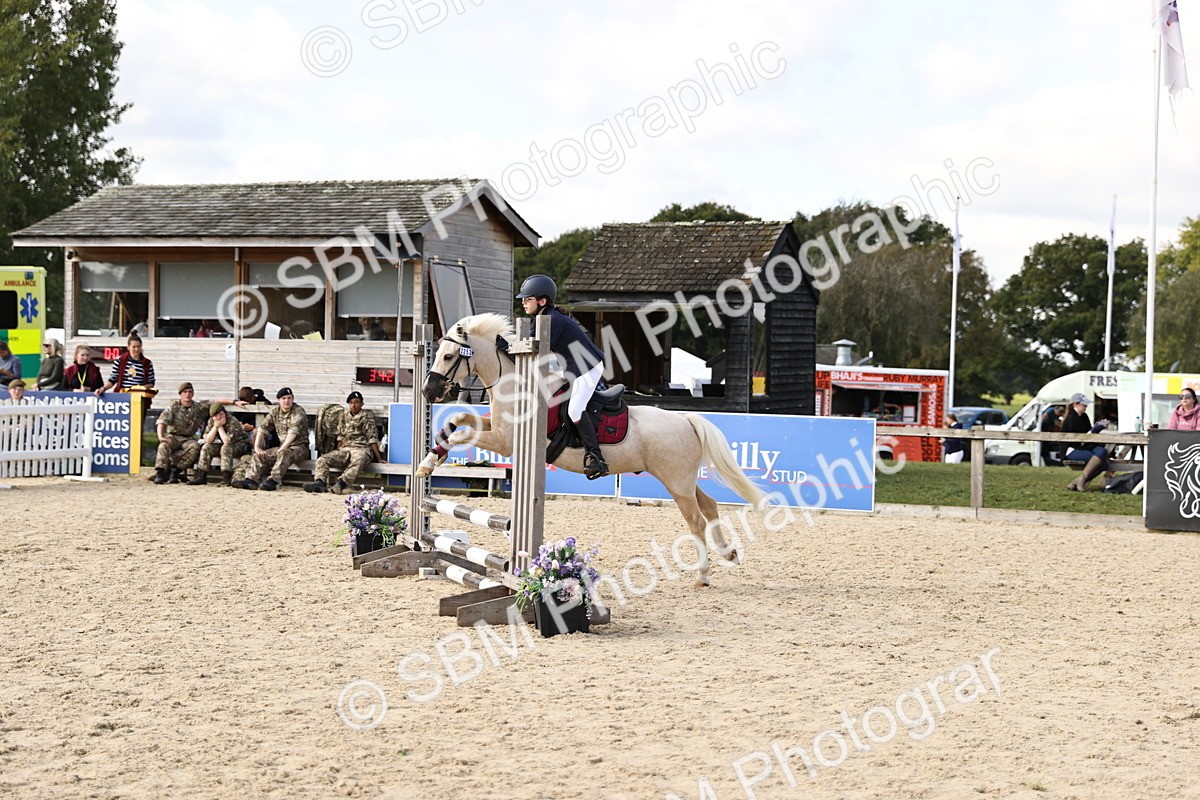 SBM_62101 - J12 - Junior Pony 55cm Championship