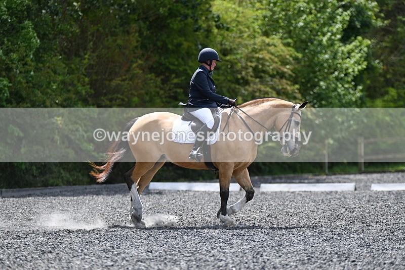 WJ5_0562 - Time 12:24 to 13:01