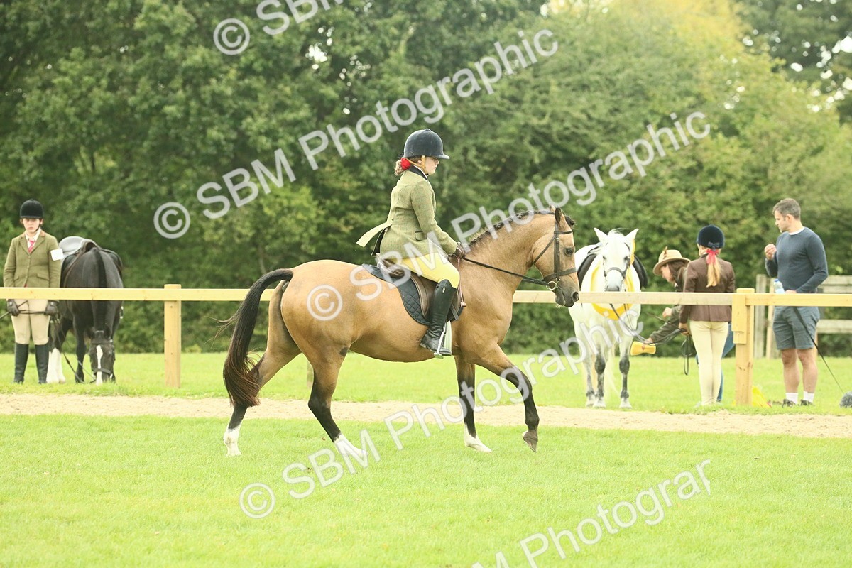 SBM_73959 - S 61 - Show Pony & Show Hunter Pony Ridden