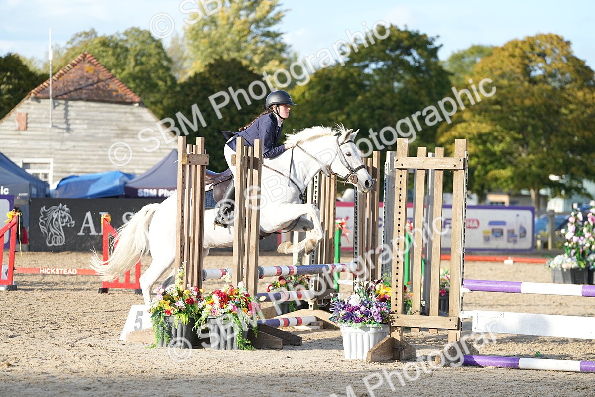SBM_29382 - J44 - Horse & Hound Open 70cm