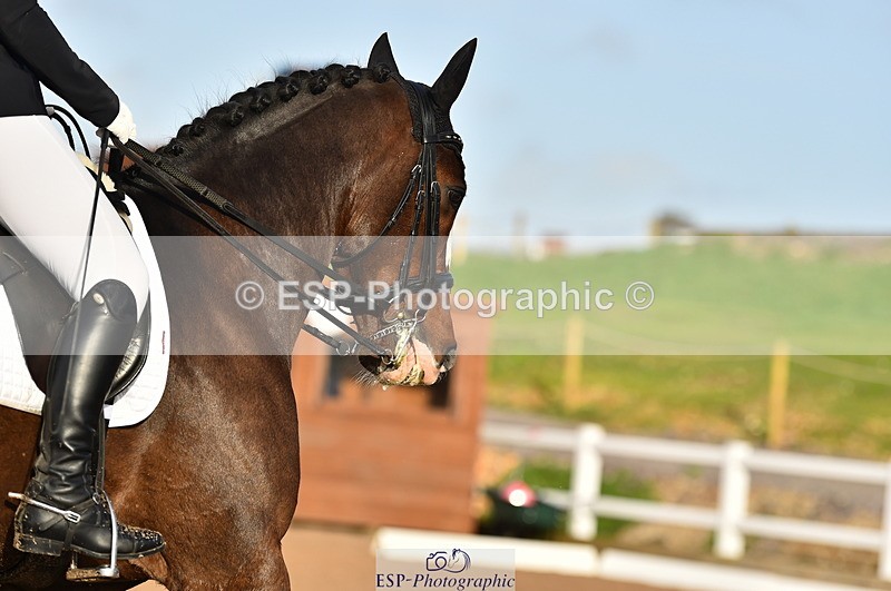 231104A-140140-02000 - Cls 10 Medium 61