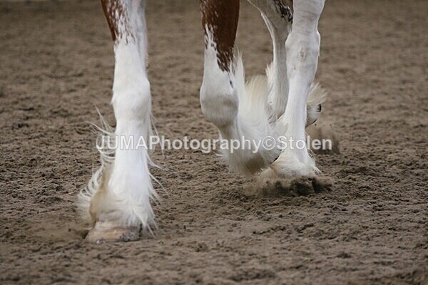 SIAL2451 - Sunday 14th Ridden