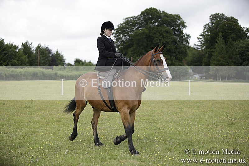 BVR160717-1936 - Side Saddle Classes 16/07/17