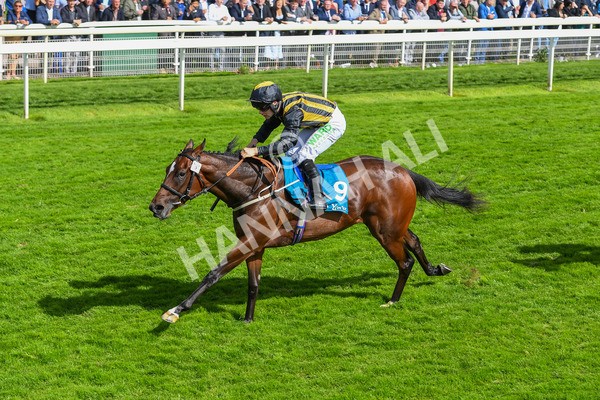 150723-Race 5-Specific Times-0545 - Race 5 4.20pm John Smith's Nursery Handicap