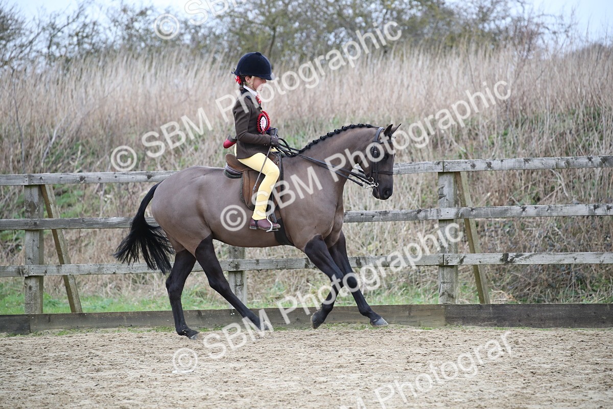 SBM_004810 - Class 5-9 - NPS In Hand-Show Hunter-Intermediate Ridden Inc Ridden Championship