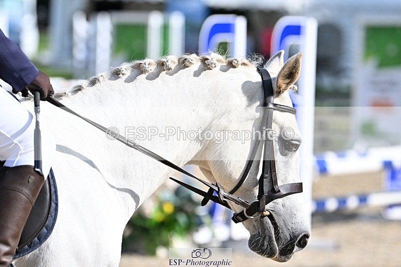 230825-092741-08170 - Round 2 Start to 11.15 coursewalk