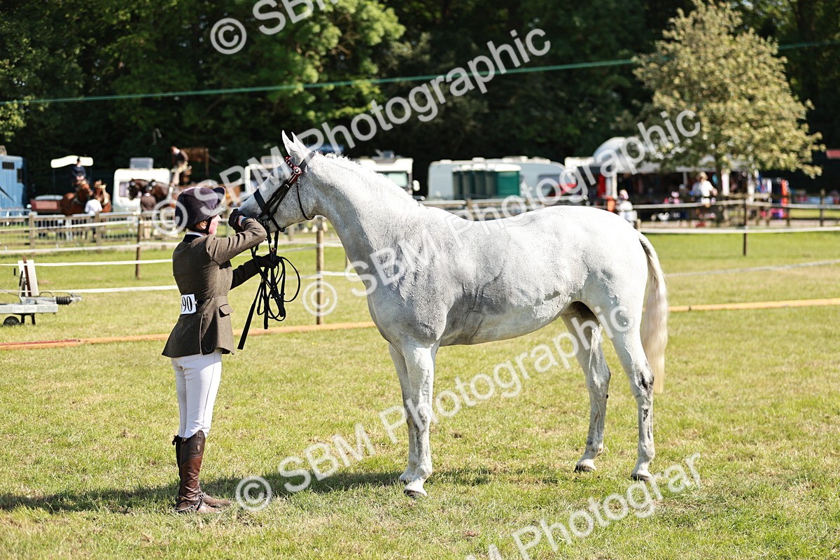 SBM_18899 - Class 114 - RIHS & SEIB Open Working Show Horse