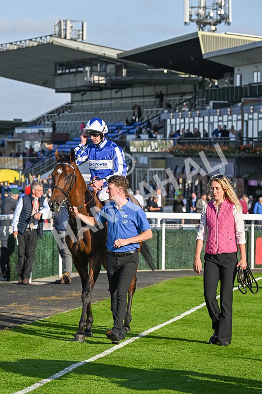 180924-Race 7-Fox Avatar-5260 - Race 7