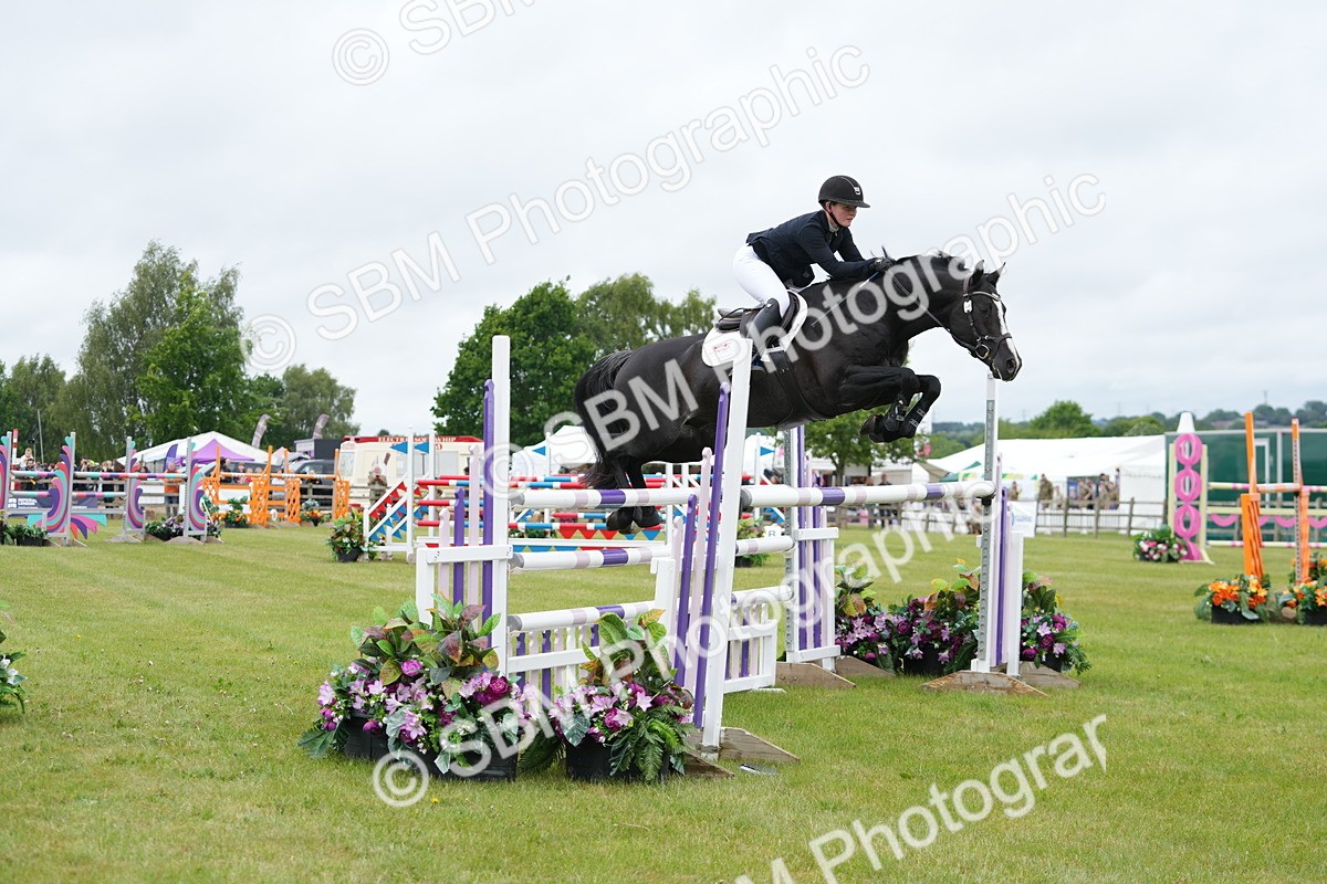 SBM_03307 - Class 201 - British Horse Feeds Speedi Beet Horse of the Year Show Grade  C
