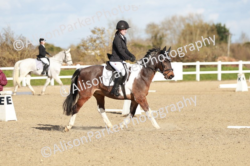 20260314-5292 - DR4 - Prelim 2