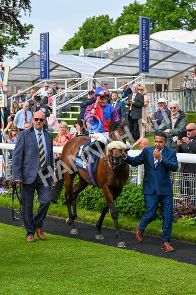 160524-Race 5-Big Evs-6416 - Race 5 4.15pm  British Stallion Studs EBF Westow Stakes