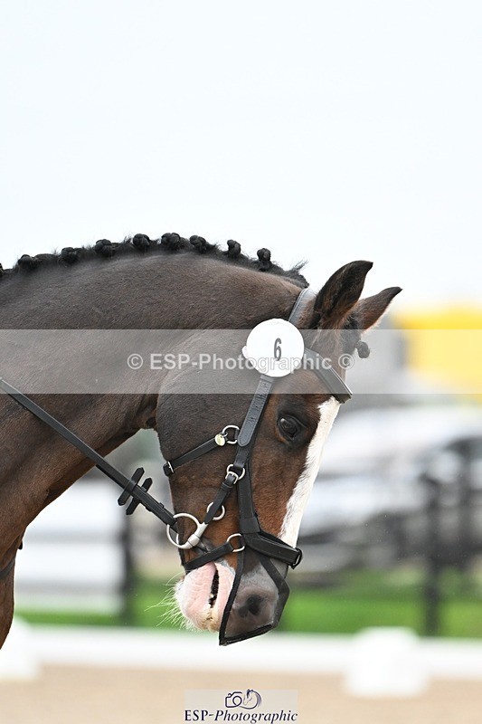 241103-103626-00373 - Intro 3 - 9.40 to 10.40