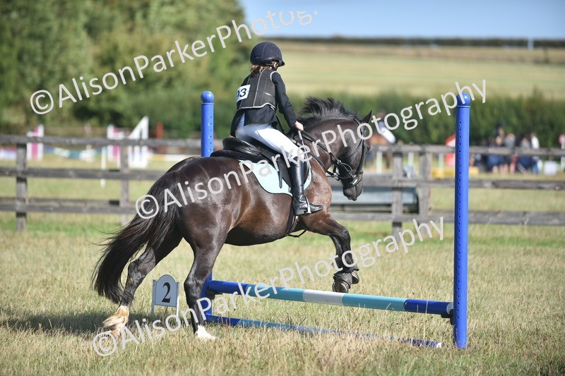 20260906-0947 - Class 7 - Absolute Novice Jumping 35cm