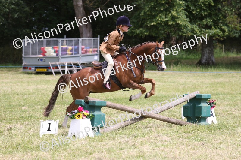 20260614-2819 - Class 22 - Open Working Hunter