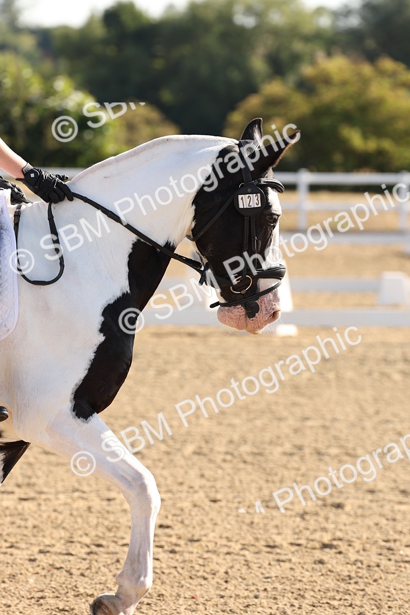 SBM_000009 - Intro 2 Warm Up