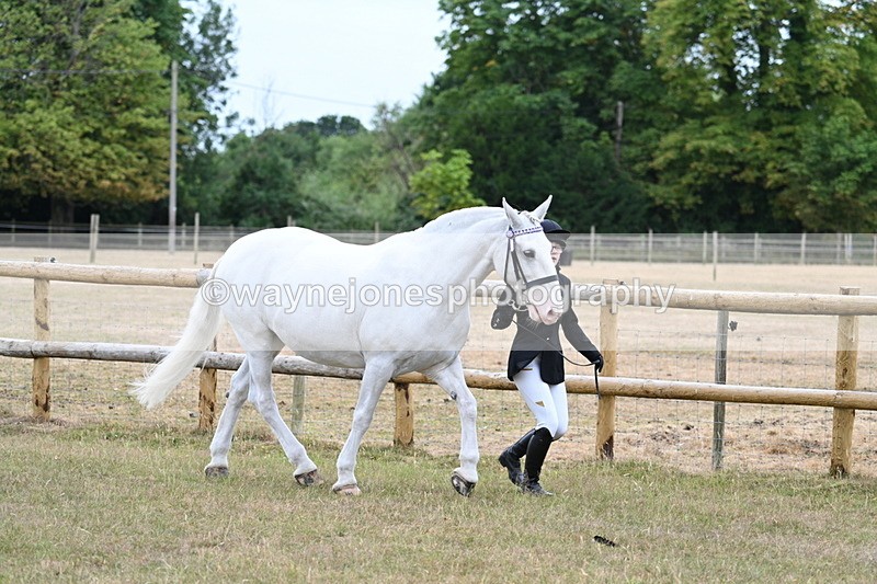 WJ7_8869 - Class 4a Prettiest Mare 14.2hh and over