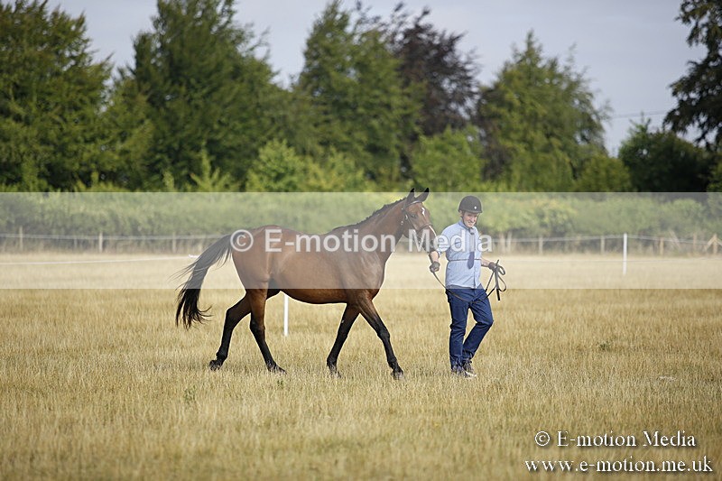 _C7A9111 - BVRC Sow 2018 Ring 2