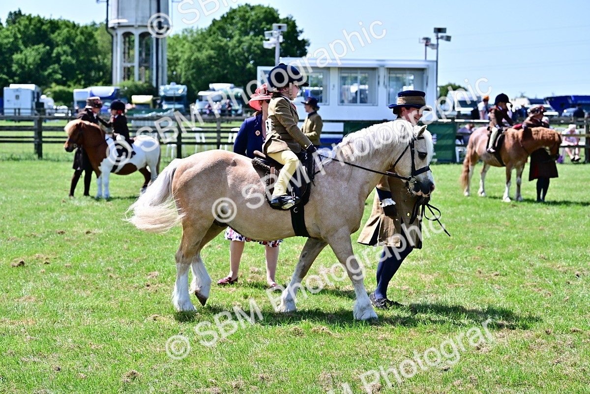 SBM_05927 - Class 59-60 - TSR M&M  Lear Rein and First Ridden Amateur of the year