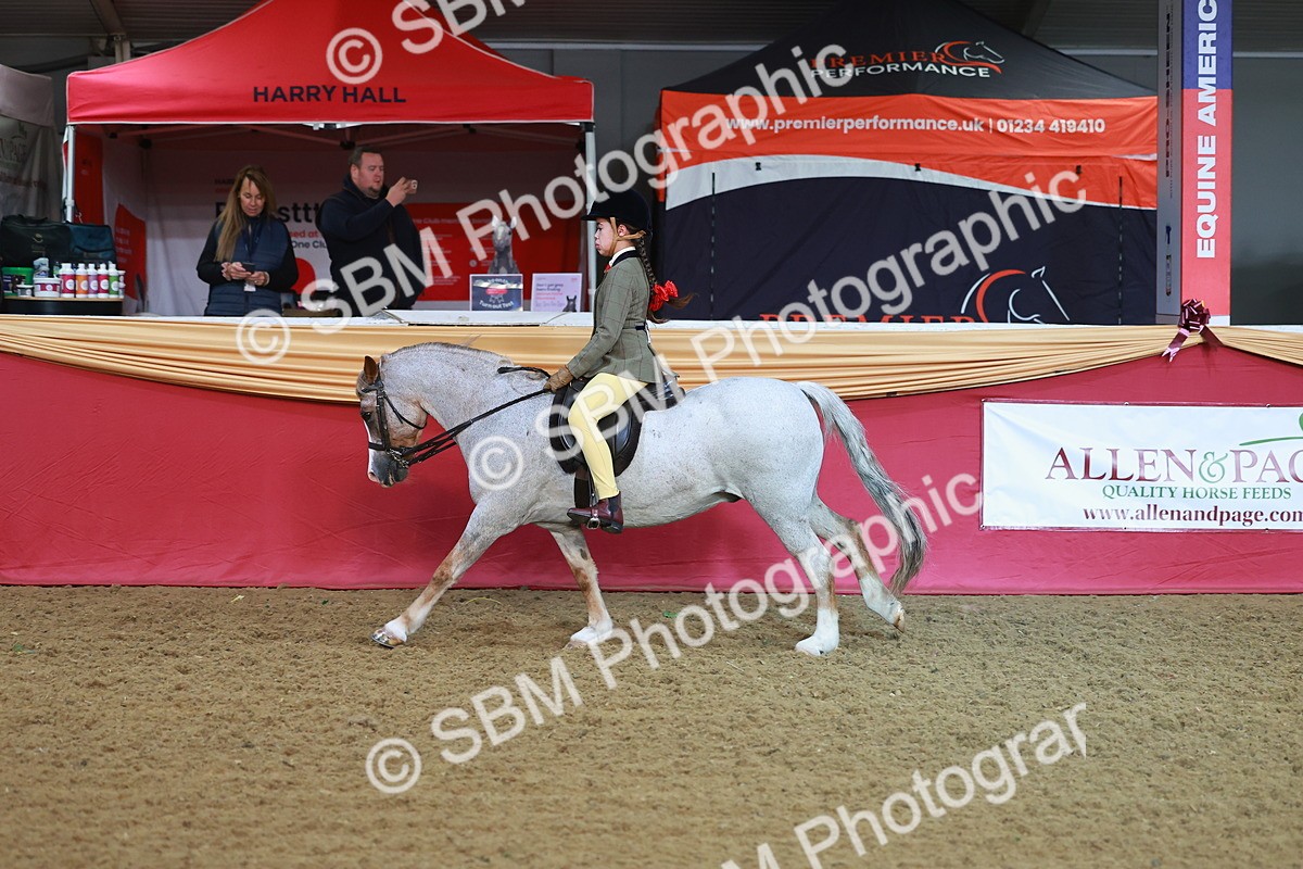 SBM_07647 - Class 101 - HOYS Veteran Qualifier - Ridden Diamond