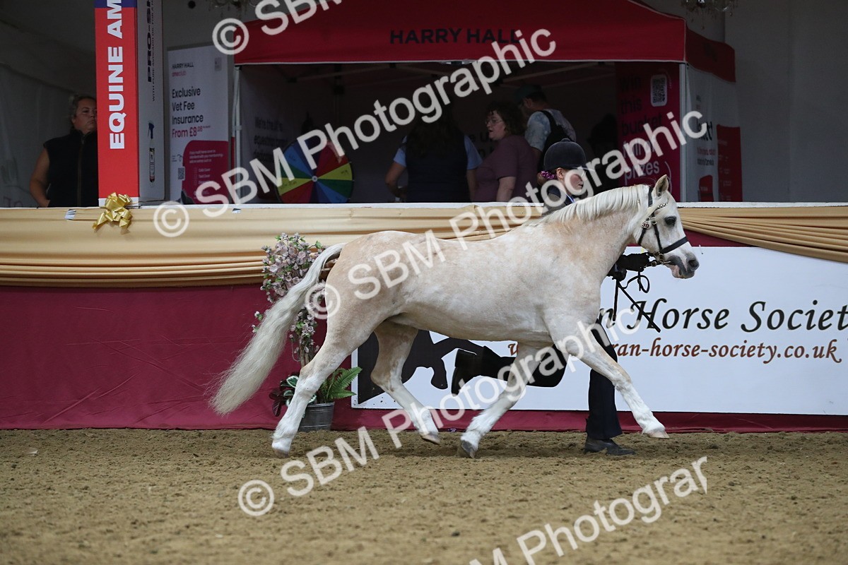 SBM_17182 - M&M Supreme Final Champ