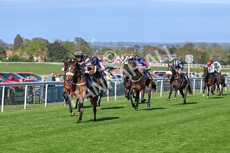 240425-Race 8-Kimeko Glory-1926 - Race 8