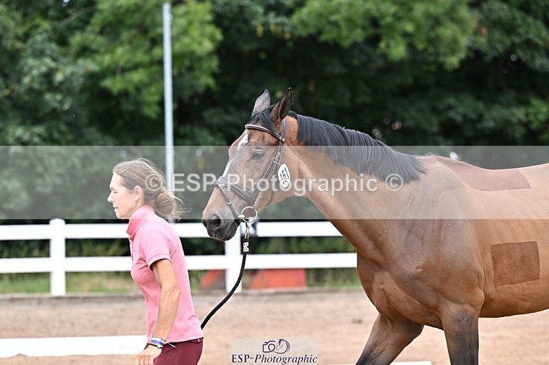 250716-134717-00667 - Trot Up 1.30 to 2.30