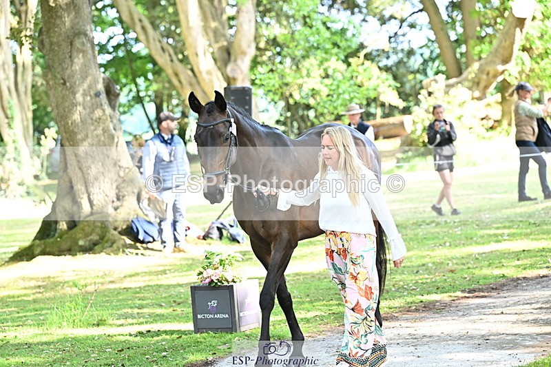 250521A-165742-01434 - C-275-Kat.Raybould-ROYAL.CATCH