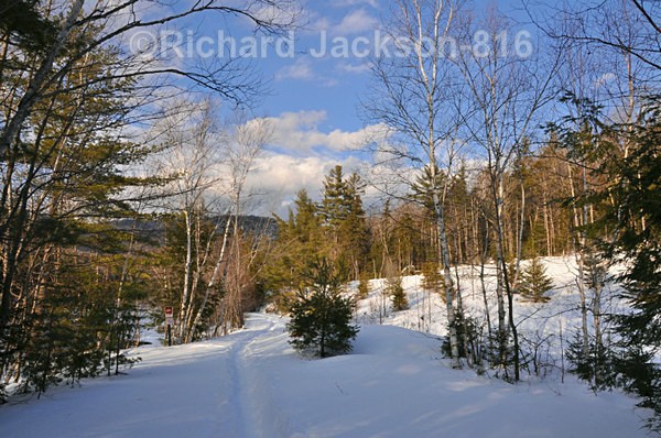 Snow Trail - Out-and-About