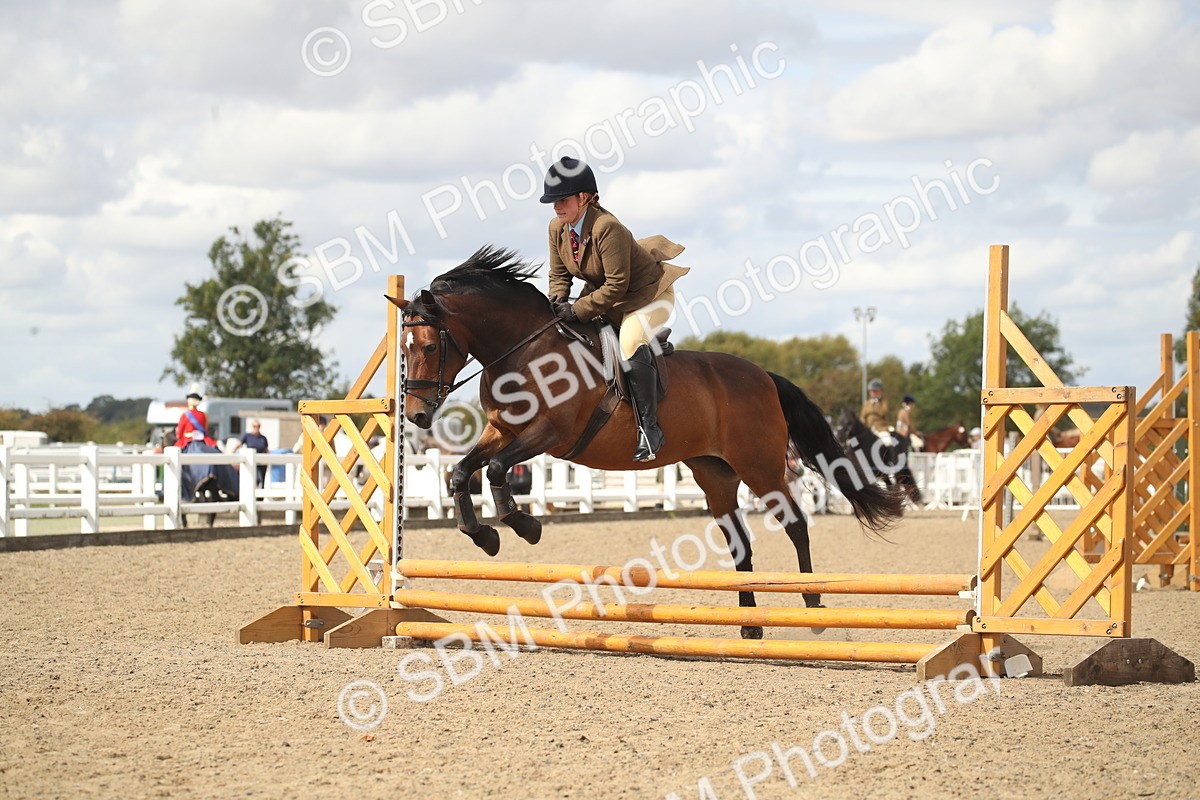 SBM_14529 - Class 505a - M&M Working Veteran - 50cm (15-19)