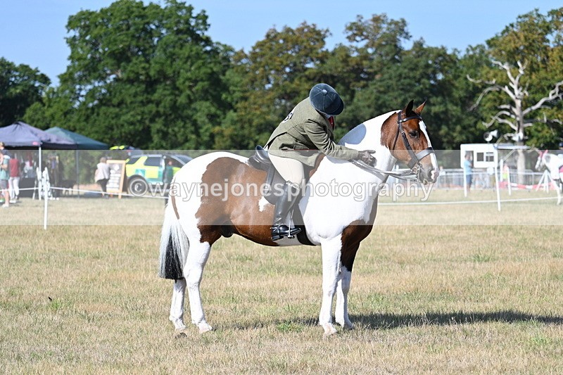 WJ7_2963 - Class 8 Ridden Tack & Turnout