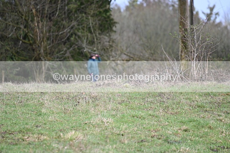 WJ6_8545 - Meet & Line One