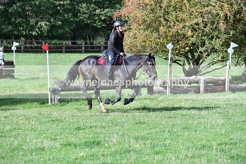 WJ5_7894 - Time 10:31 to 12:01