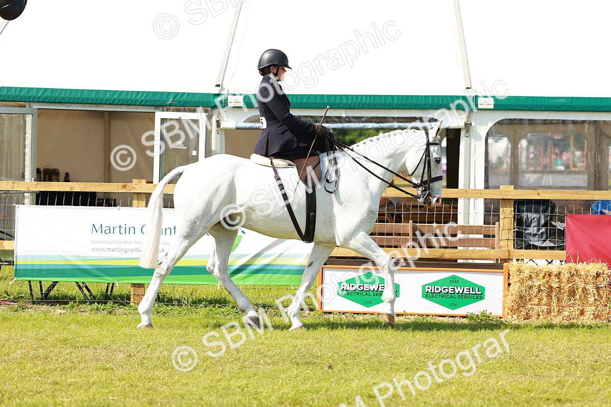 SBM_13109 - Class 70-71 - Side Saddle
