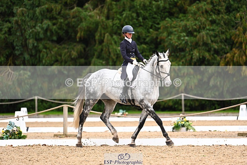 231020-165524-12423 - 316-I.ELLIE.JAY.BUMBLE-Henrietta.Ewell-DR