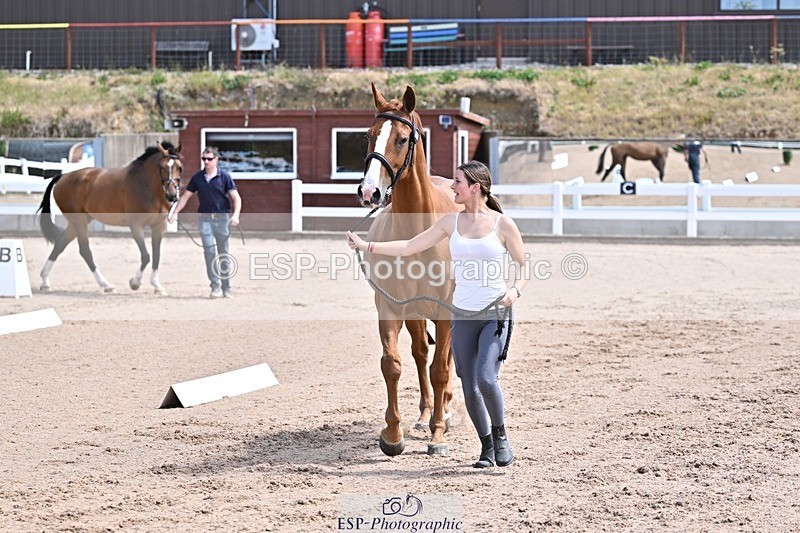 250716-124816-00174 - Trot Up 12.30 to 1.30