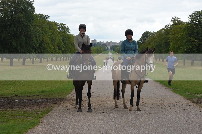 TT3_0015 - Time at Crossing 13:17 to 14:48