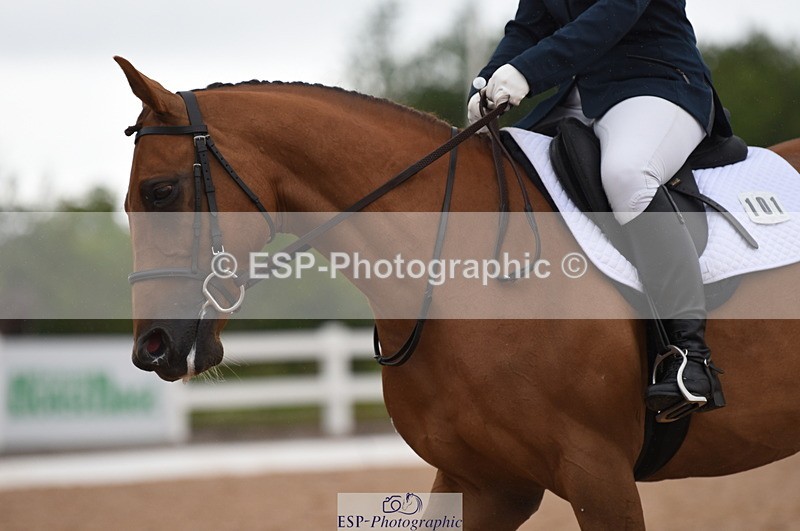 230630A-160316-03271 - Cls 3 Prelim 12