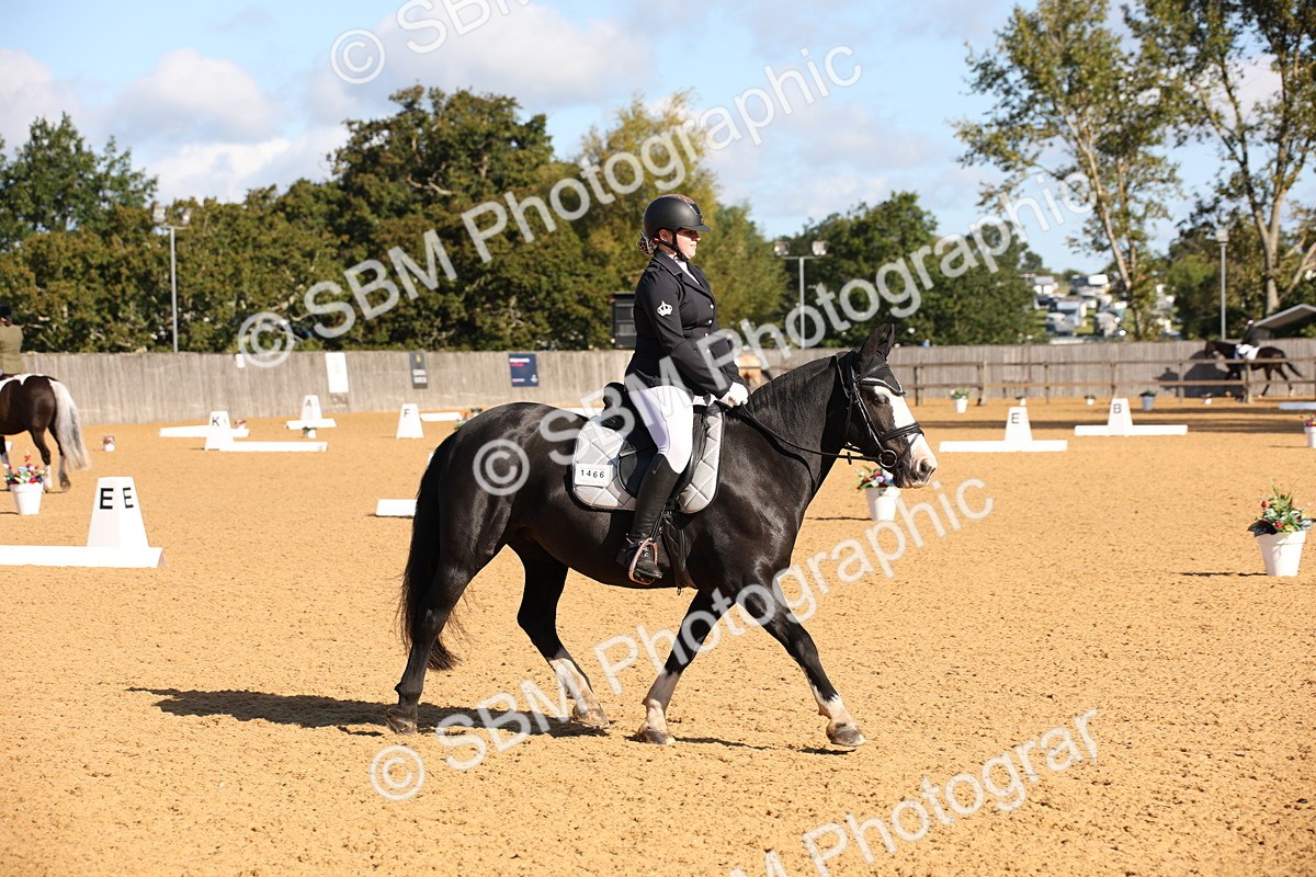 SBM_01922 - D2 Small Tour Championship Intro C
