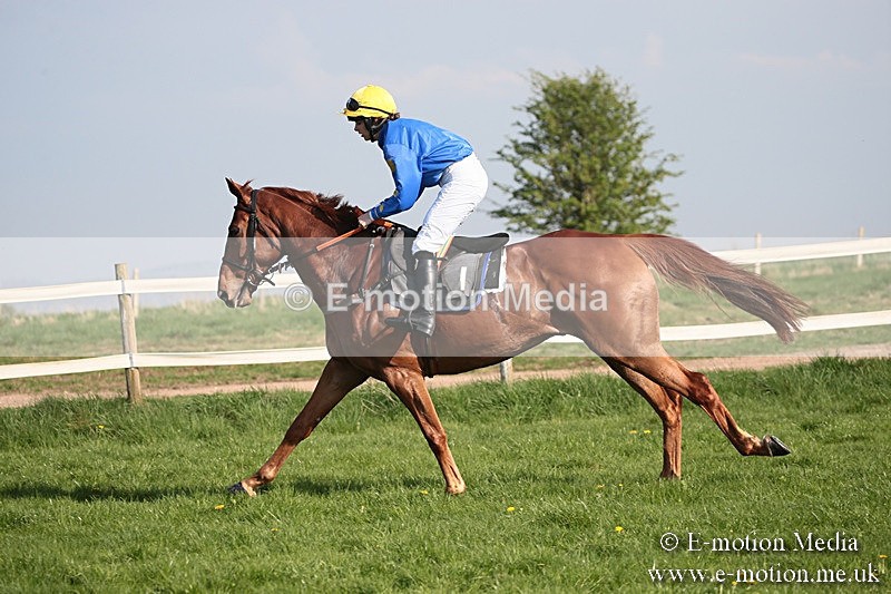 PtP 210418 468 - South & West Wilts Point-to-Point Larkhill 21/04/18