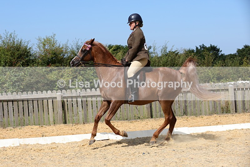 1X9A8364 - Class 13: Arab Ridden