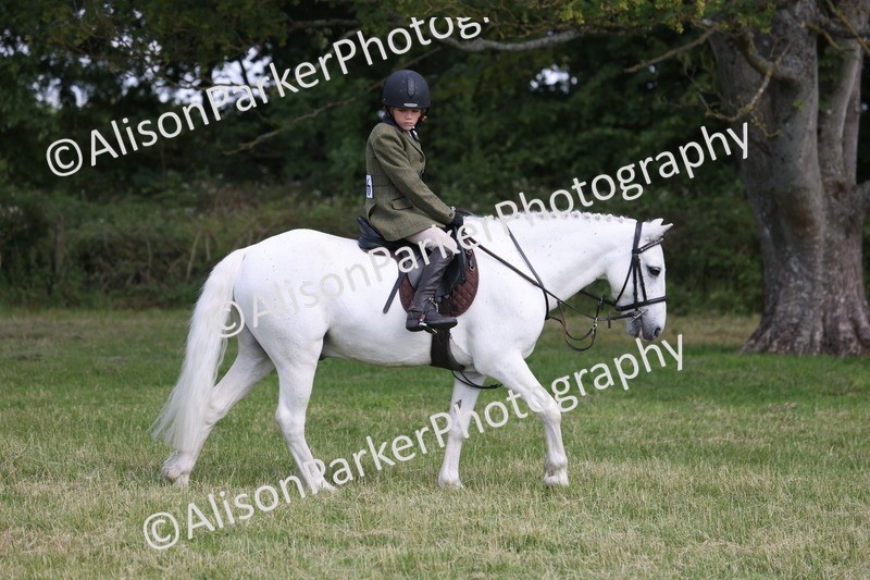 20260614-0798 - Class 20 - Beginners Working Hunter Pony